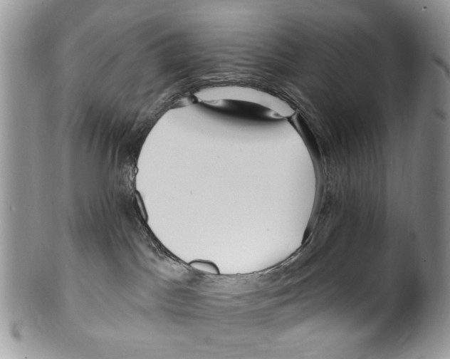 X0000099580045200806131328