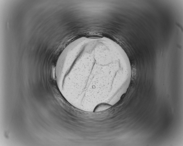 X0000099580046200806131328