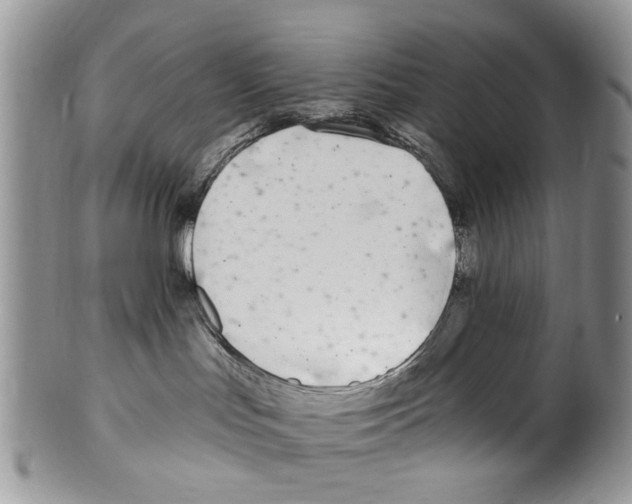 X0000099580047200806131328