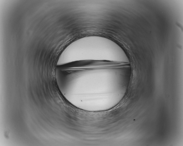 X0000099580048200806131328