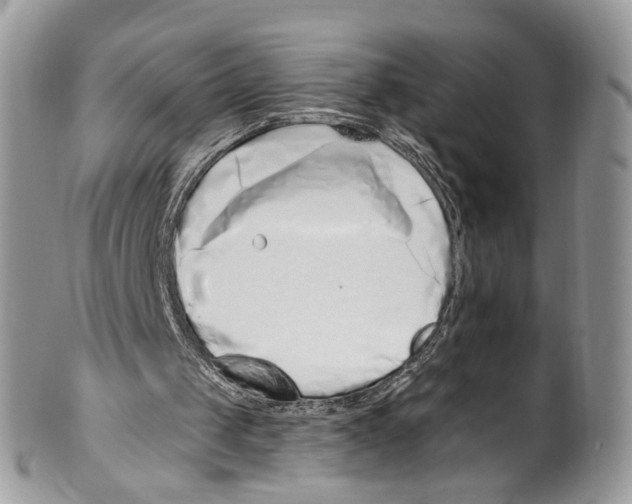 X0000099580049200806131327