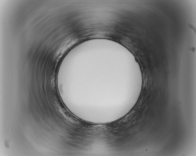 X0000099580050200806131327