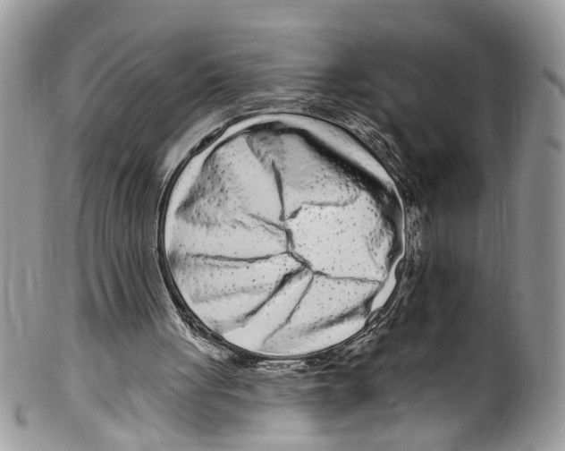 X0000099580051200806131327