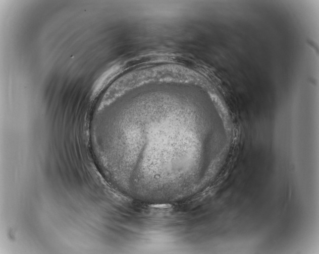 X0000099580053200806131327