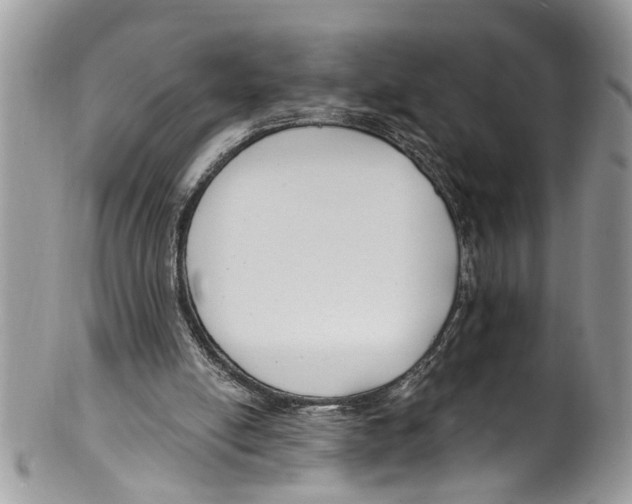 X0000099580054200806131327