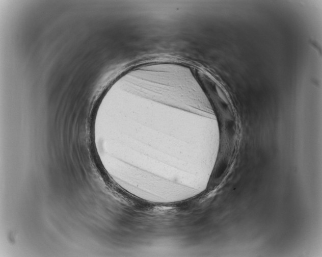 X0000099580055200806131327