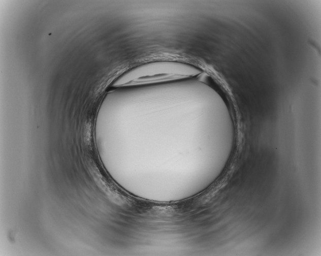 X0000099580057200806131327