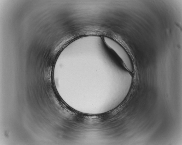 X0000099580058200806131327