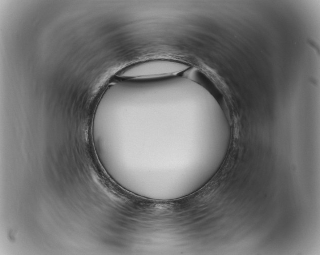 X0000099580060200806131327