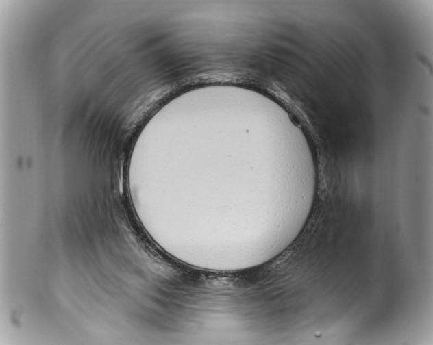 X0000099580062200806131327