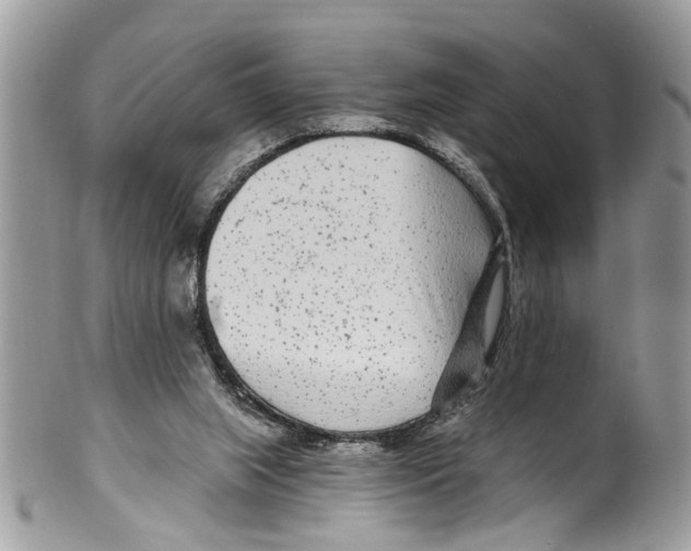 X0000099580063200806131327