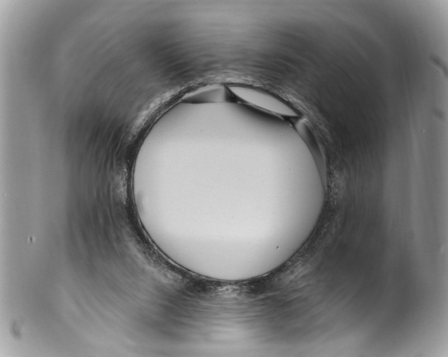 X0000099580064200806131327