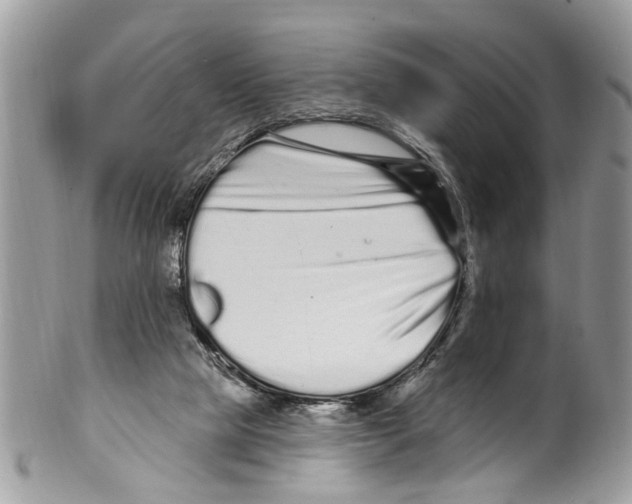 X0000099580065200806131327