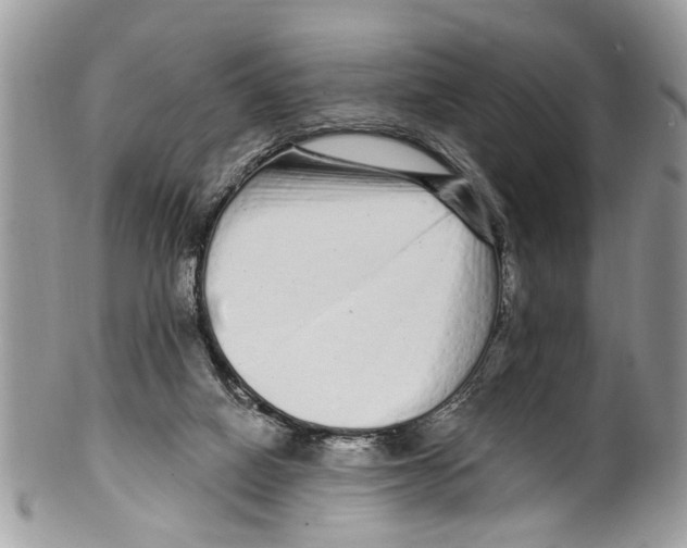 X0000099580066200806131327