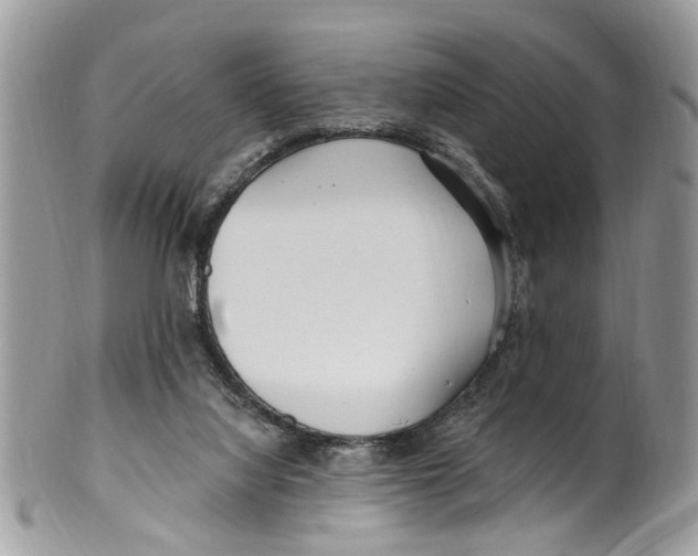 X0000099580068200806131327