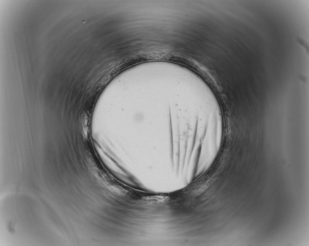 X0000099580069200806131327