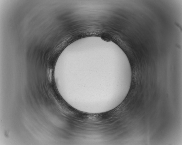 X0000099580070200806131327