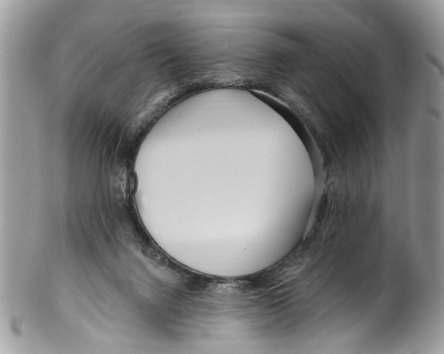 X0000099580072200806131327