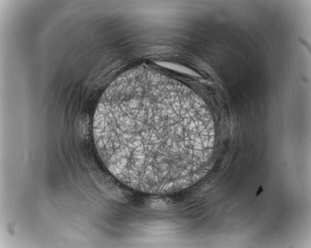 X0000099580073200806131327