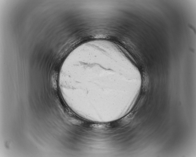 X0000099580074200806131327