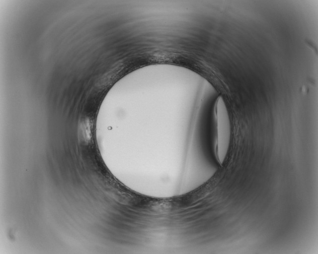 X0000099580075200806131327