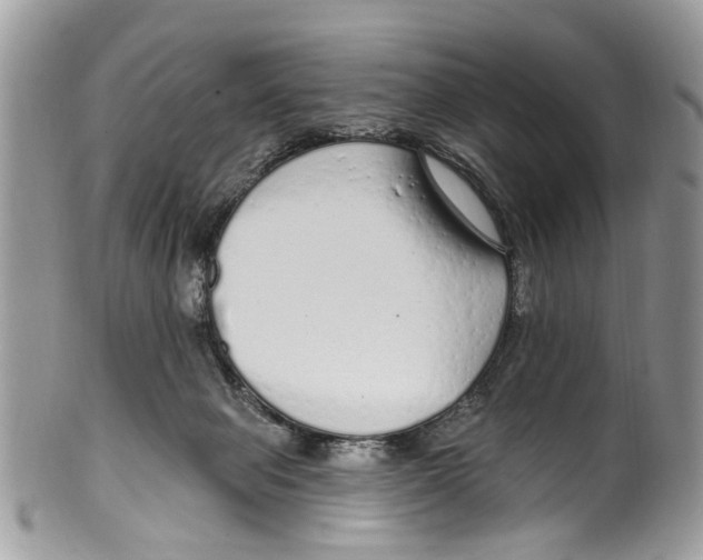 X0000099580077200806131327