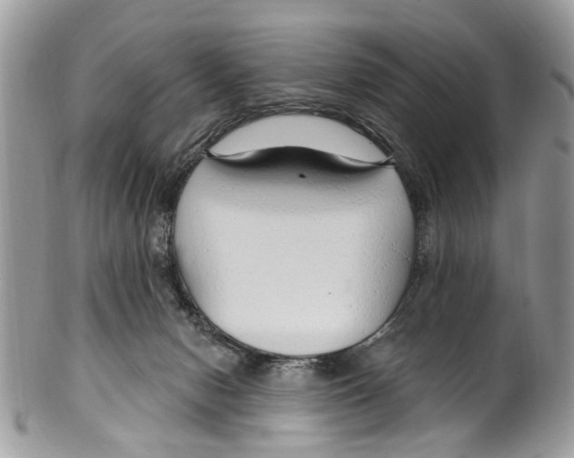 X0000099580078200806131327