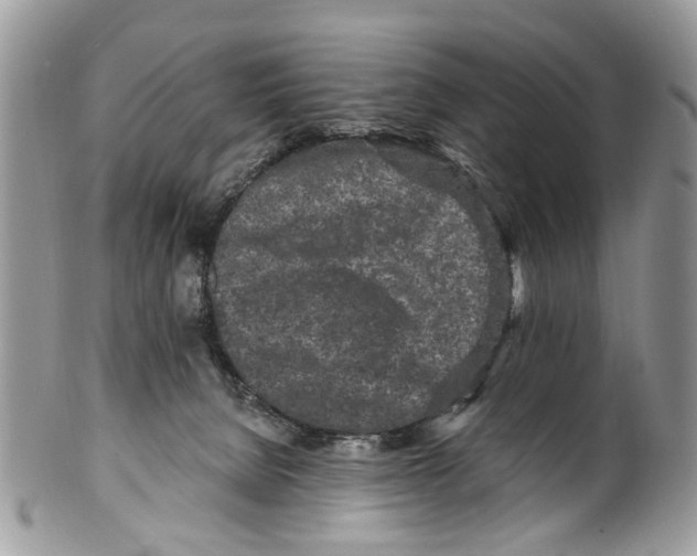 X0000099580080200806131327