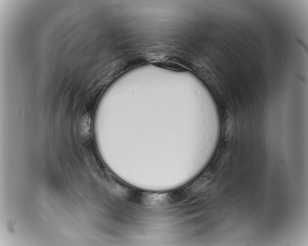 X0000099580081200806131327