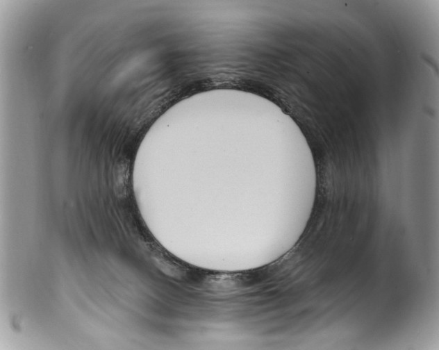 X0000099580082200806131327