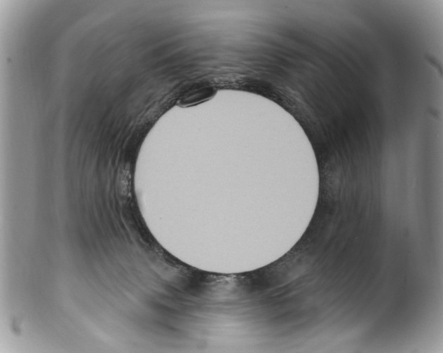 X0000099580083200806131327