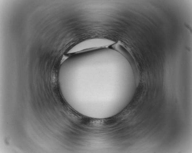 X0000099580084200806131327