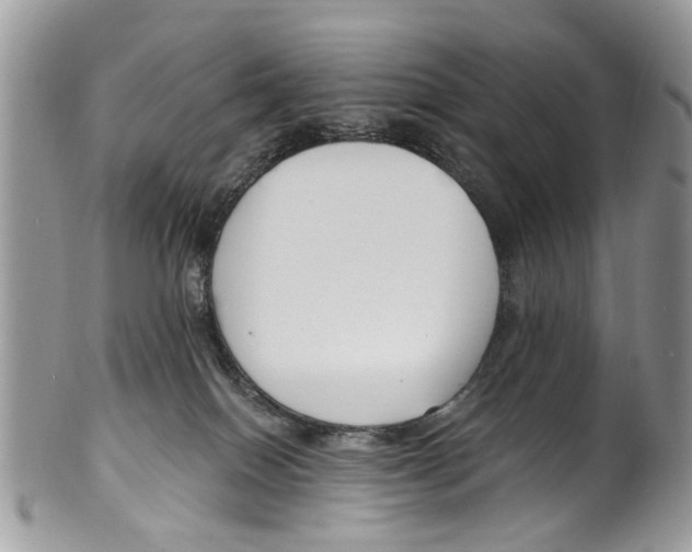 X0000099580086200806131327