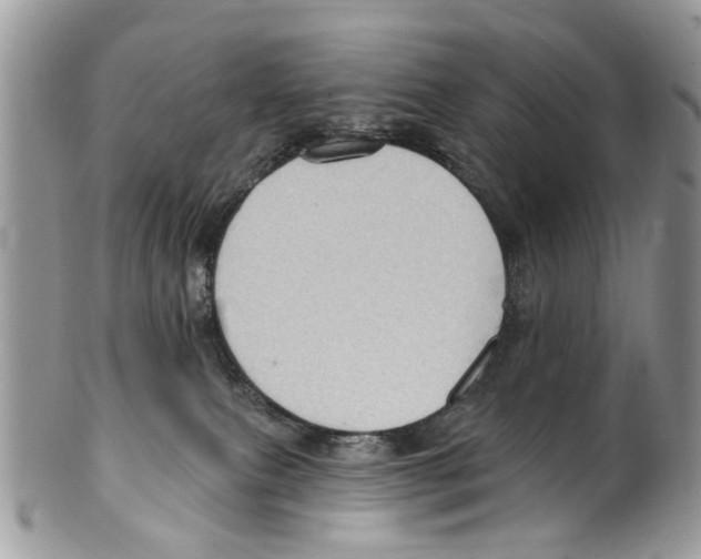 X0000099580087200806131328