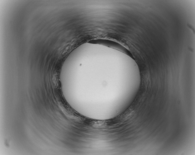 X0000099580088200806131328