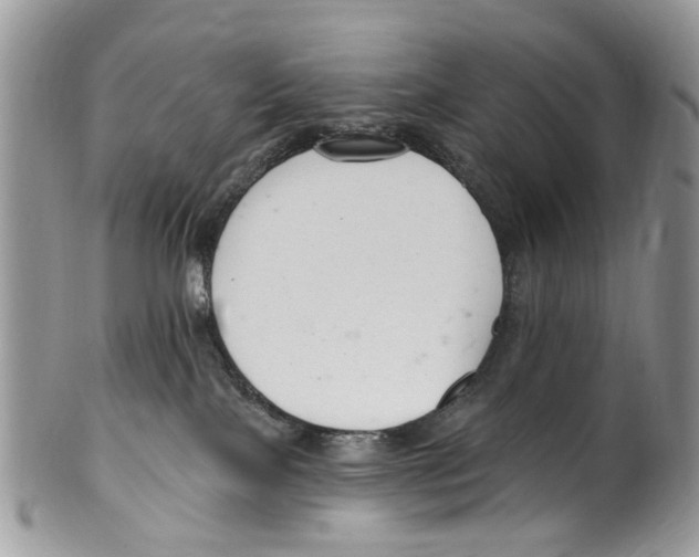 X0000099580089200806131328