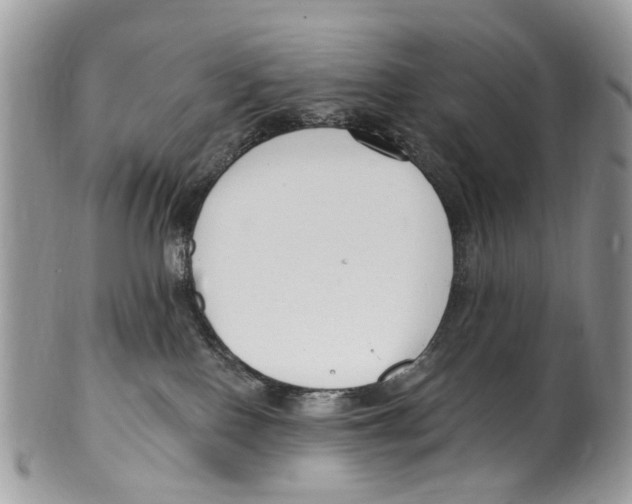 X0000099580090200806131328