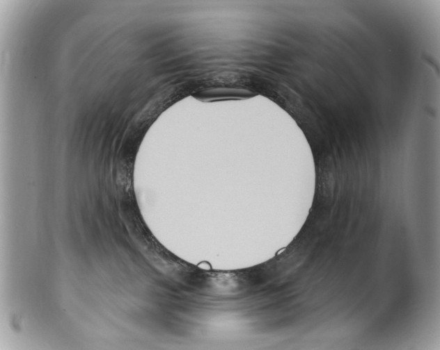 X0000099580091200806131328