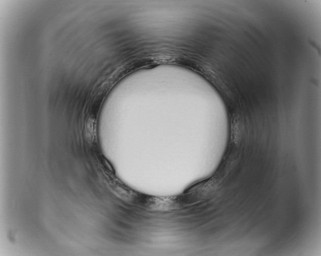 X0000099580093200806131328