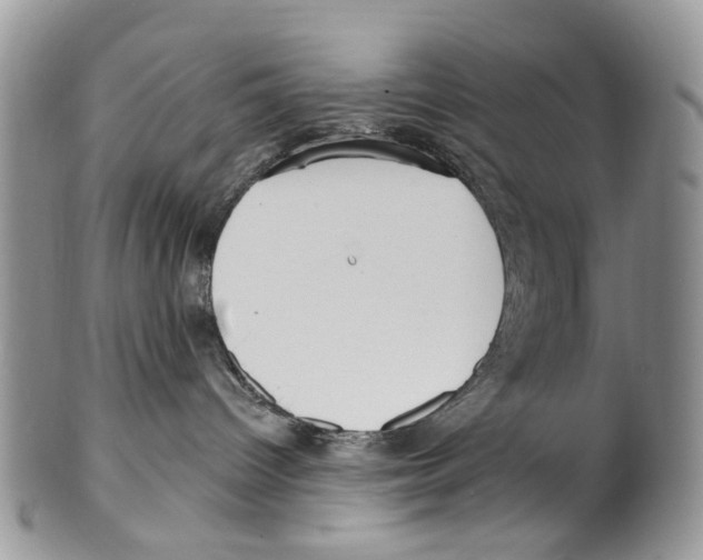 X0000099580096200806131328