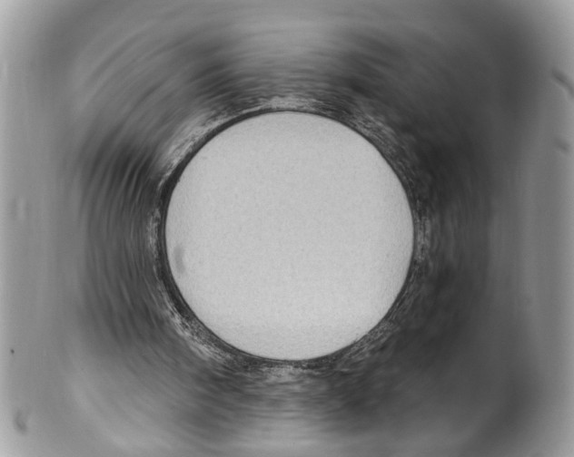 X0000099580098200806131327