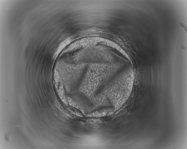 X0000099580099200806131327