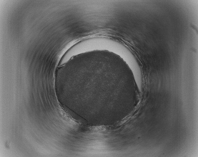 X0000099580100200806131327