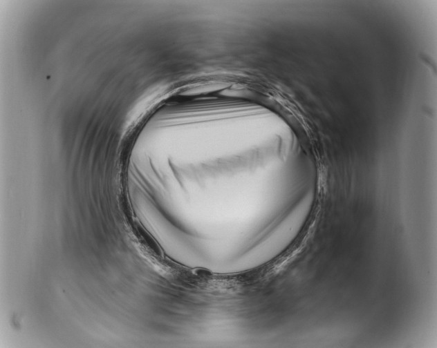 X0000099580101200806131327