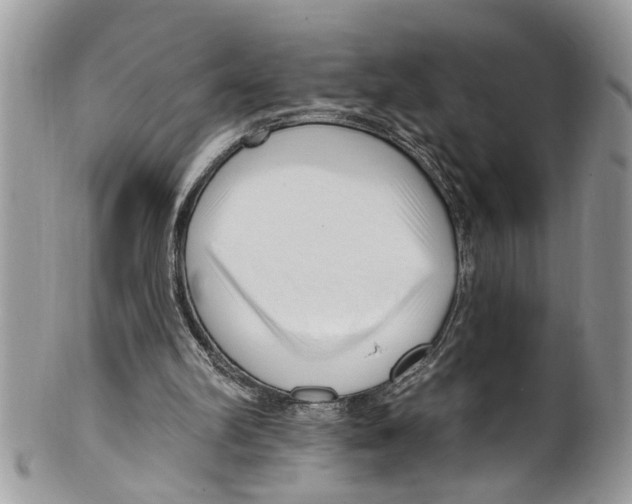 X0000099580102200806131327