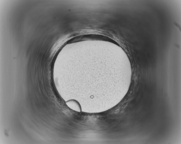 X0000099580103200806131327