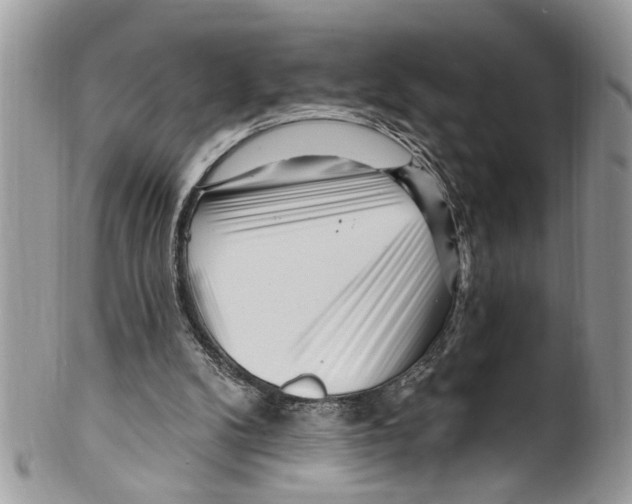 X0000099580104200806131327