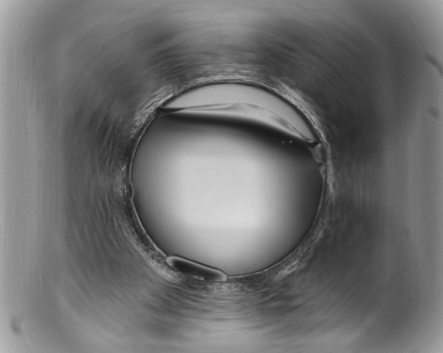 X0000099580105200806131327