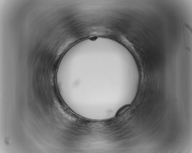 X0000099580106200806131327