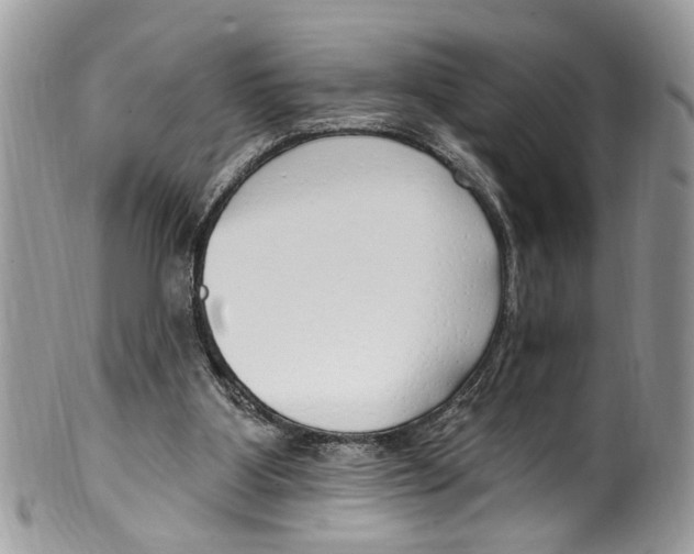 X0000099580107200806131327